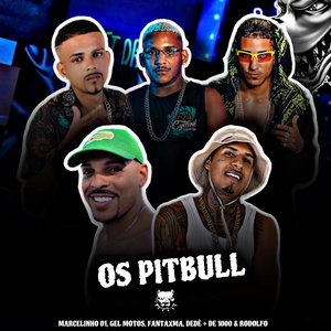 Os Pitbull