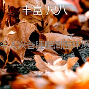 柔和的松弛时刻