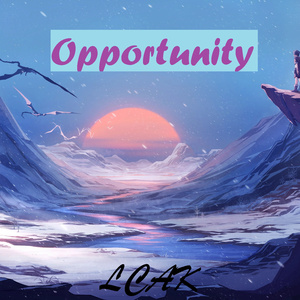 Opportunity