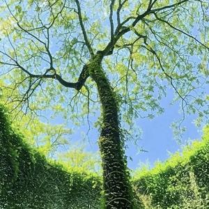 踏歌行·江湖快意