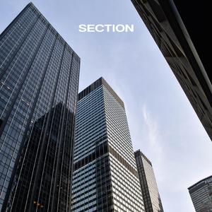 Section