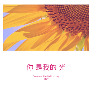 你是我的光 2019