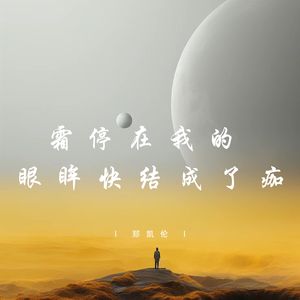 霜停在我的眼眸快结成了痂