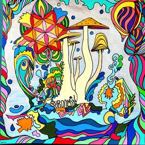 Shroomin (feat. shyguydom & Squidessential)