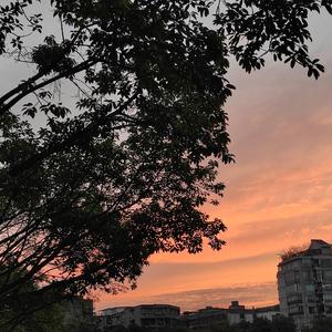 楠妈妈上学记（Prod by Yzz Beats & WayMen）