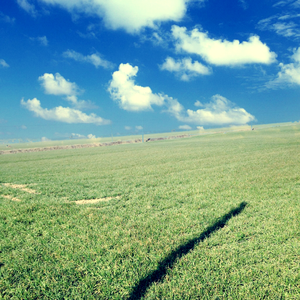 美好事物 cover（Cover 房东的猫）