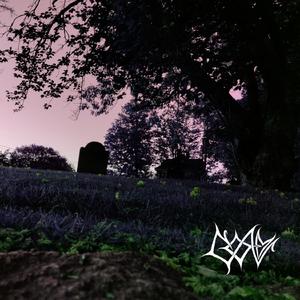 No Regrets (A Sucide Note)