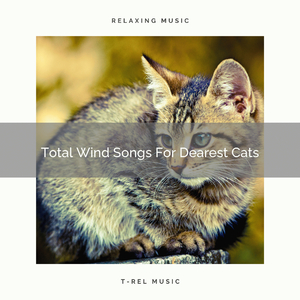 Stress Relieving Sea Sounds Especially For Your Beloved Cats