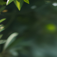 言泽宇1412-整曲