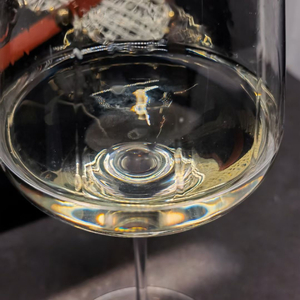 Sangiovese in the field