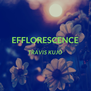 Efflorescence