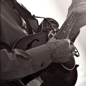 Hold the Woodpile Down