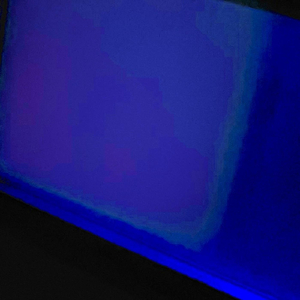 Containment Division