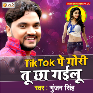 Tik Tok Pe Gori Tu Chha Gailu