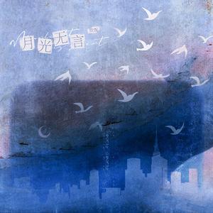 月光无言