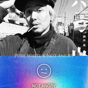 Masshiro (Pure White) x Not Angry