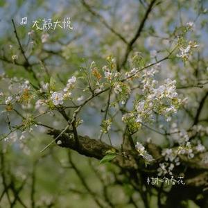 公子要恋爱吗