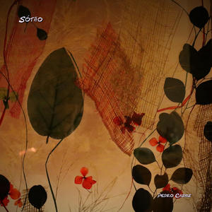 Tantos Anos Seguidos