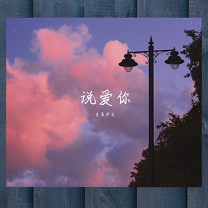 说爱你（吉他男声版）（翻自 黑崎子）