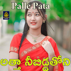 Atta Nee Bidda Thoni (Palle Pata)