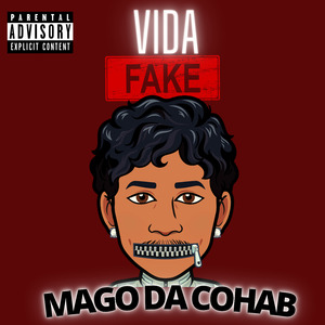 Vida Fake