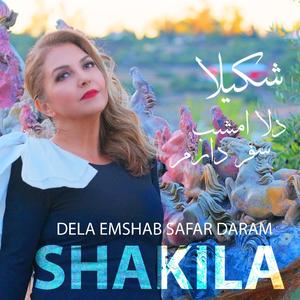 Dela Emshab Safar Daram (Cover)