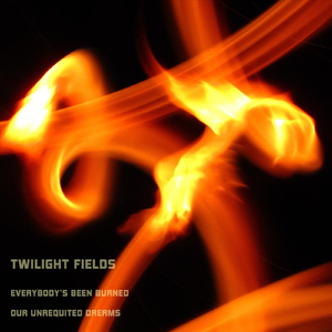 Everybody's Been Burned