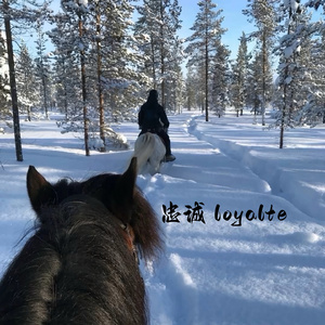 忠诚 loyalte（无双）