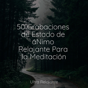 Amanecer De La Mañana