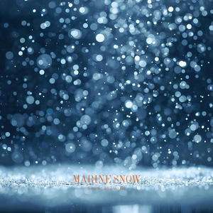 Marine Snow