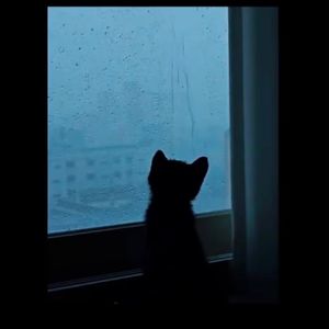 爱的旅途
