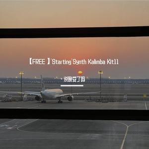 【FREE】'Starting'Synth Kalimba Kit11