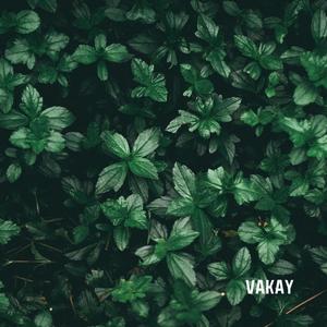 Let the Light Lead the Way