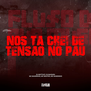 Nos Ta Chei de Tensao no Pau