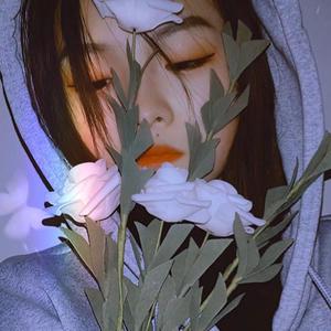 致我
