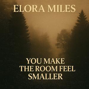 You Make the Room Feel Smaller