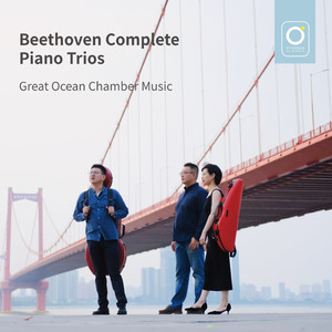 Piano Trio in G Major, Op.1 No.2 Ⅳ. Finale: Presto
