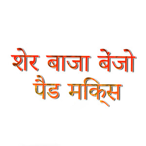 शेर बाजा बेंजो पैड मिक्स