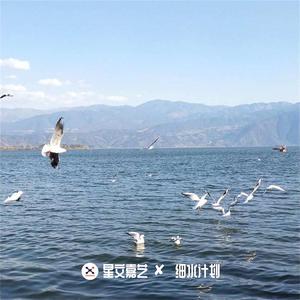 VIP高端龙廷翡翠 V19