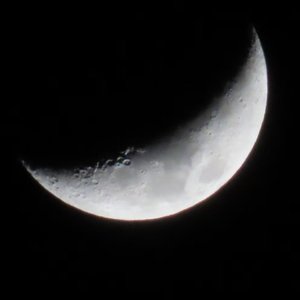 谎 Acoustic (cover:ONER岳岳)