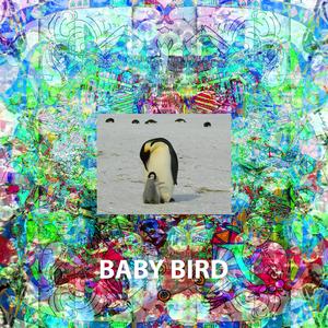 Baby Bird