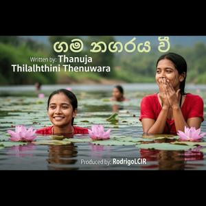 ගම නගරය වී