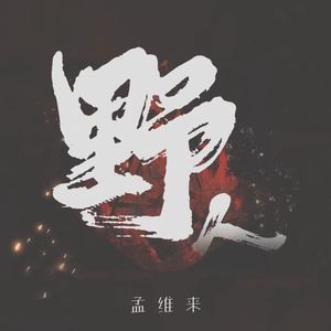 孟维来-野人（DJHoRs3 remix）