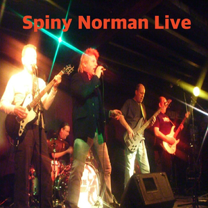 Smoking in the Boys Room (Live)