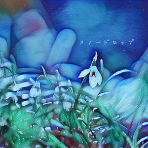 スノードロップ