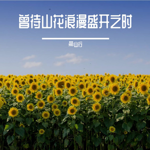 山花开-整曲