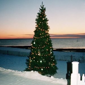 圣诞结 prod.MORROW