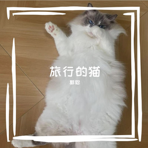 「free」 雨夜海 【minor guitar』pt 。1