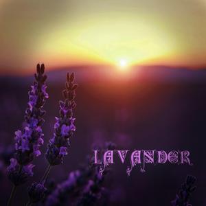 I Want To Hold Your Hand