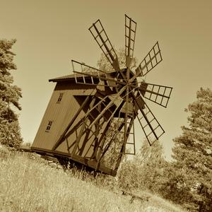 Skogshjärta